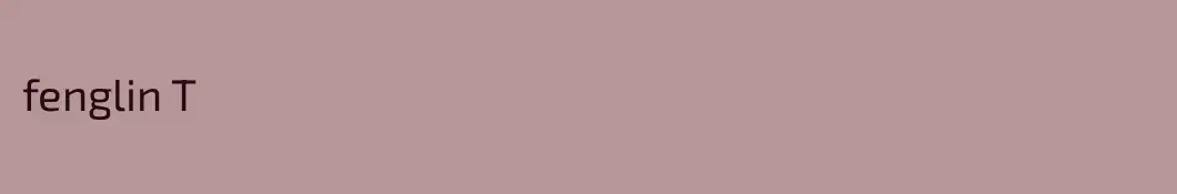 fenglin T